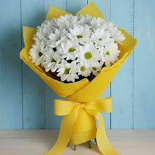 Букет цветов из:  Хризантемы в Троицком Воронежской области