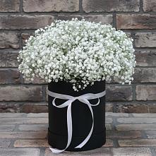 Цветочная композиция из Гипсофила в шляпной коробке #REPLACE_PRED# Троицком Воронежской области